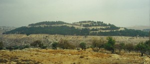 Abu Ghneim, söndertrasad kulle